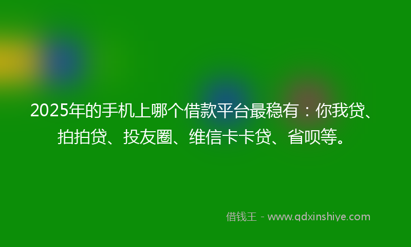 2025年的手机上哪个借款平台最稳有：你我贷、拍拍贷、投友圈、维信卡卡贷、省呗等。