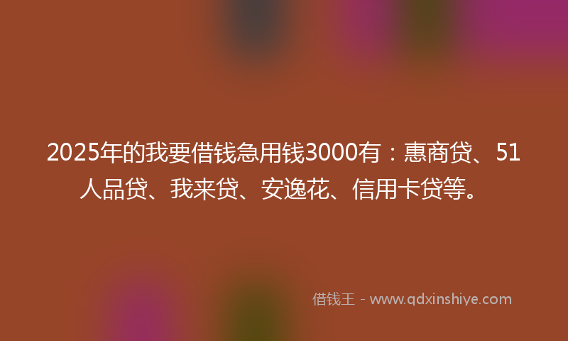 2025年的我要借钱急用钱3000有：惠商贷、51人品贷、我来贷、安逸花、信用卡贷等。