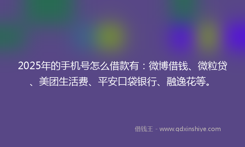 2025年的手机号怎么借款有：微博借钱、微粒贷、美团生活费、平安口袋银行、融逸花等。
