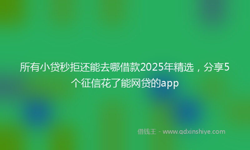 所有小贷秒拒还能去哪借款2025年精选，分享5个征信花了能网贷的app