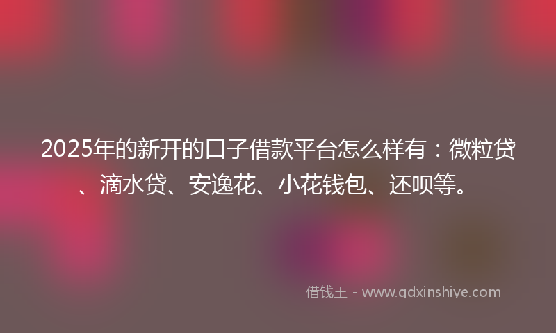2025年的新开的口子借款平台怎么样有：微粒贷、滴水贷、安逸花、小花钱包、还呗等。