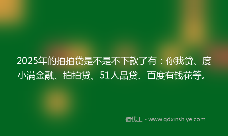 2025年的拍拍贷是不是不下款了有：你我贷、度小满金融、拍拍贷、51人品贷、百度有钱花等。