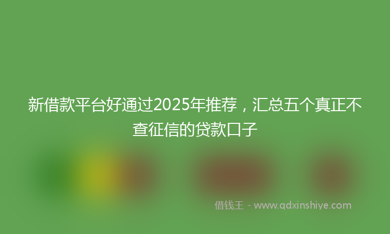 新借款平台好通过2025年推荐，汇总五个真正不查征信的贷款口子