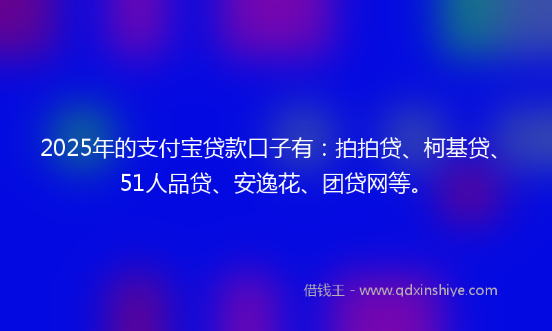 2025年的支付宝贷款口子有：拍拍贷、柯基贷、51人品贷、安逸花、团贷网等。