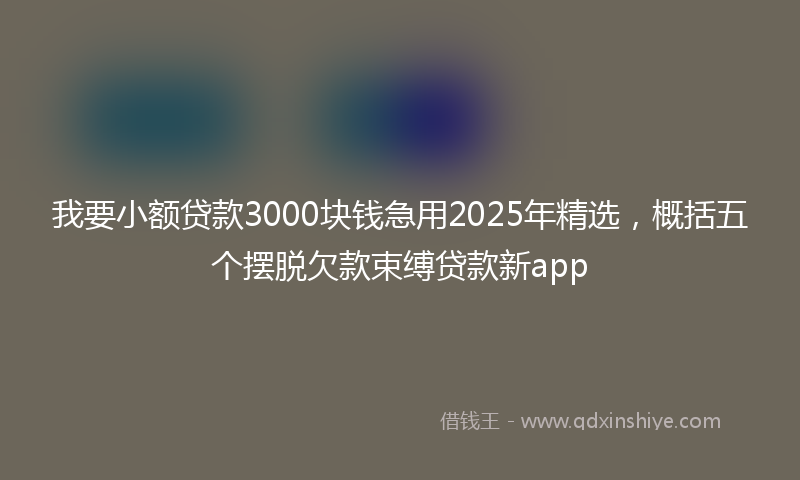 我要小额贷款3000块钱急用2025年精选，概括五个摆脱欠款束缚贷款新app
