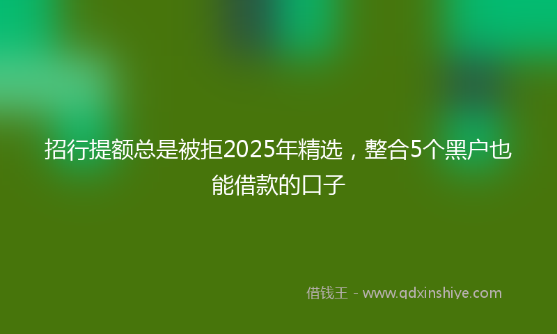 招行提额总是被拒2025年精选，整合5个黑户也能借款的口子