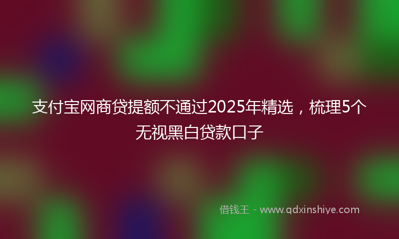 支付宝网商贷提额不通过2025年精选，梳理5个无视黑白贷款口子