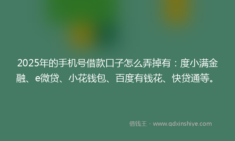 2025年的手机号借款口子怎么弄掉有：度小满金融、e微贷、小花钱包、百度有钱花、快贷通等。