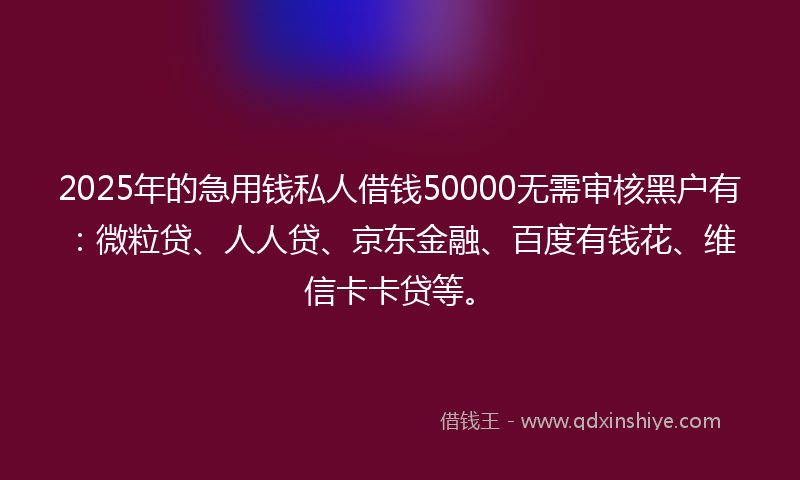 2025年的急用钱私人借钱50000无需审核黑户有：微粒贷、人人贷、京东金融、百度有钱花、维信卡卡贷等。