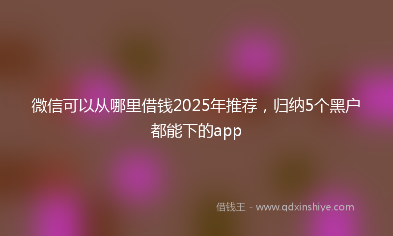 微信可以从哪里借钱2025年推荐，归纳5个黑户都能下的app