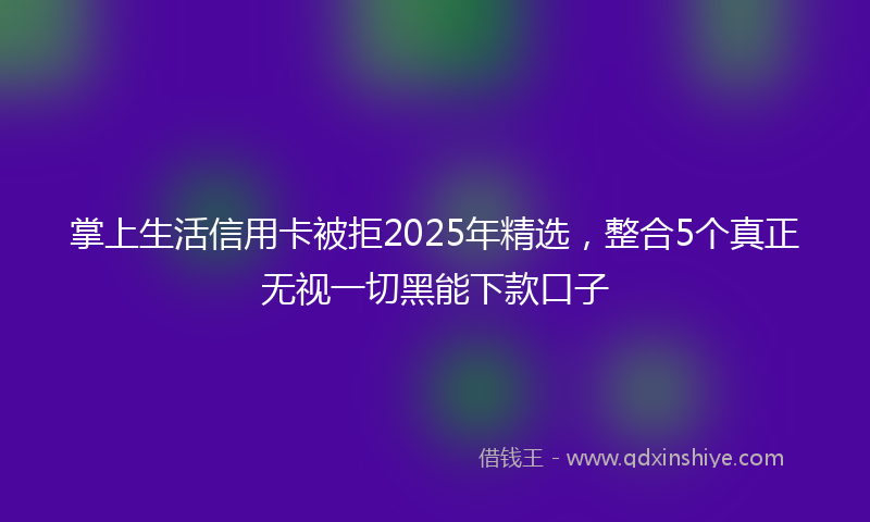掌上生活信用卡被拒2025年精选，整合5个真正无视一切黑能下款口子