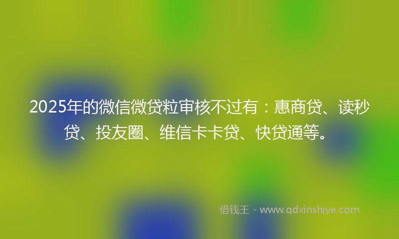 2025年的微信微贷粒审核不过有：惠商贷、读秒贷、投友圈、维信卡卡贷、快贷通等。