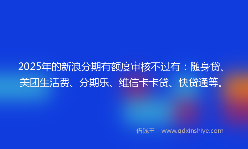 2025年的新浪分期有额度审核不过有：随身贷、美团生活费、分期乐、维信卡卡贷、快贷通等。
