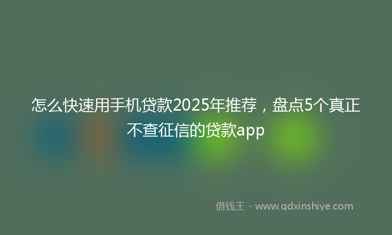 怎么快速用手机贷款2025年推荐，盘点5个真正不查征信的贷款app