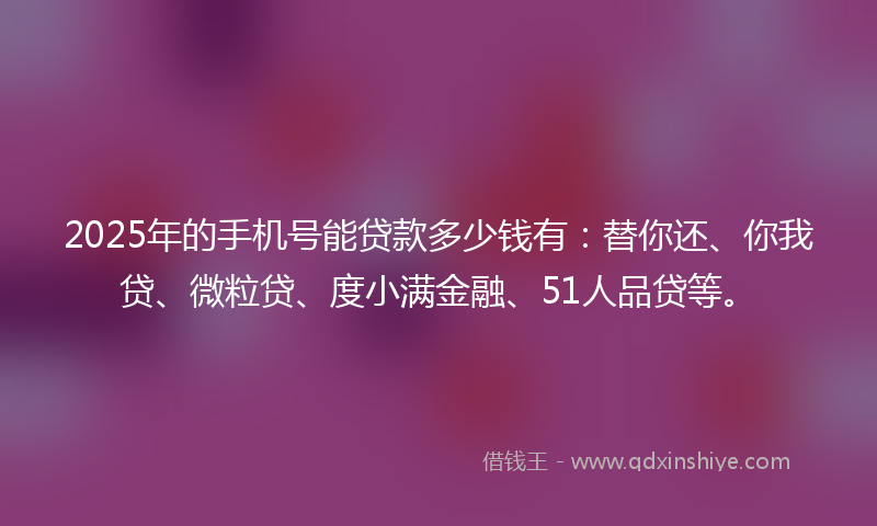 2025年的手机号能贷款多少钱有：替你还、你我贷、微粒贷、度小满金融、51人品贷等。
