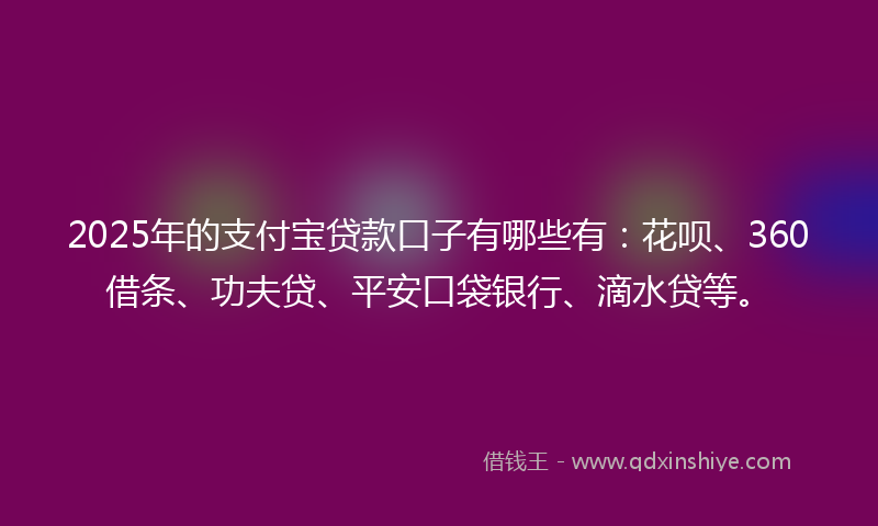 2025年的支付宝贷款口子有哪些有：花呗、360借条、功夫贷、平安口袋银行、滴水贷等。