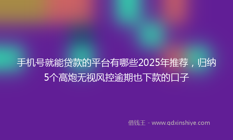 手机号就能贷款的平台有哪些2025年推荐，归纳5个高炮无视风控逾期也下款的口子