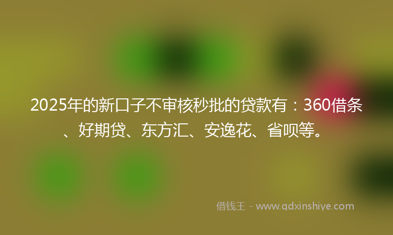 2025年的新口子不审核秒批的贷款有：360借条、好期贷、东方汇、安逸花、省呗等。