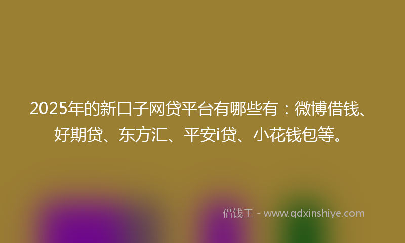 2025年的新口子网贷平台有哪些有：微博借钱、好期贷、东方汇、平安i贷、小花钱包等。