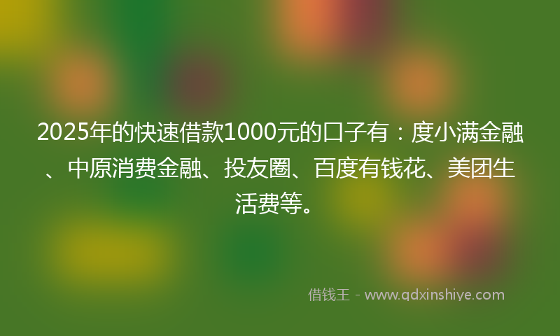 2025年的快速借款1000元的口子有：度小满金融、中原消费金融、投友圈、百度有钱花、美团生活费等。