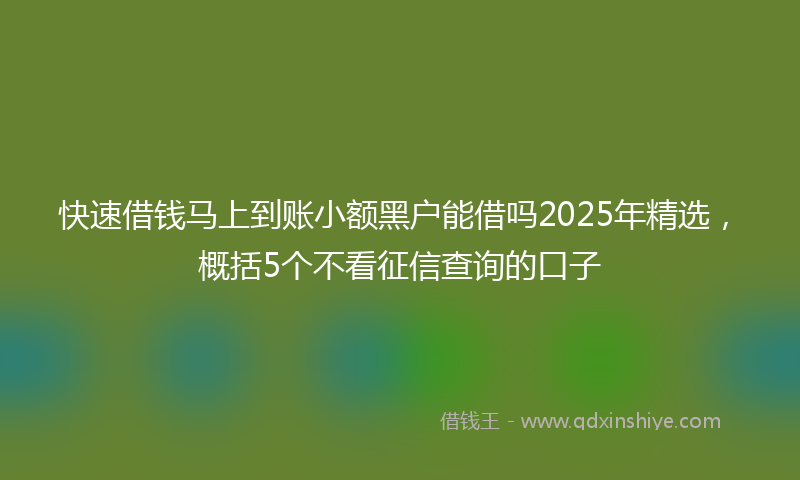 快速借钱马上到账小额黑户能借吗2025年精选，概括5个不看征信查询的口子