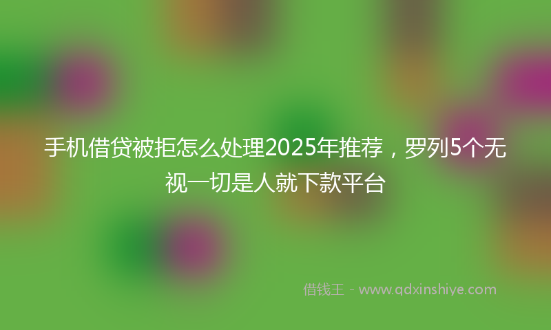 手机借贷被拒怎么处理2025年推荐，罗列5个无视一切是人就下款平台