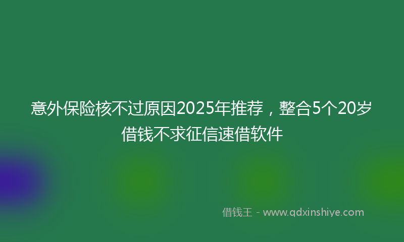 意外保险核不过原因2025年推荐，整合5个20岁借钱不求征信速借软件