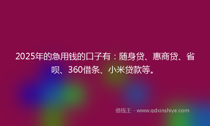 2025年的急用钱的口子有：随身贷、惠商贷、省呗、360借条、小米贷款等。