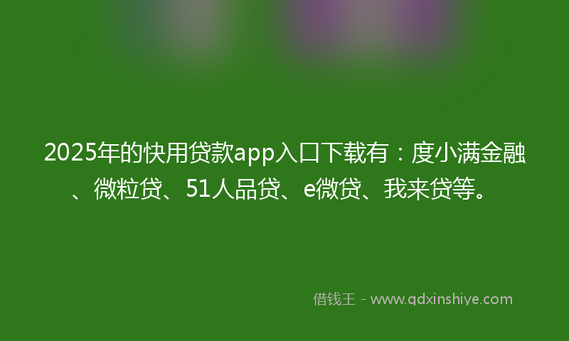 2025年的快用贷款app入口下载有：度小满金融、微粒贷、51人品贷、e微贷、我来贷等。