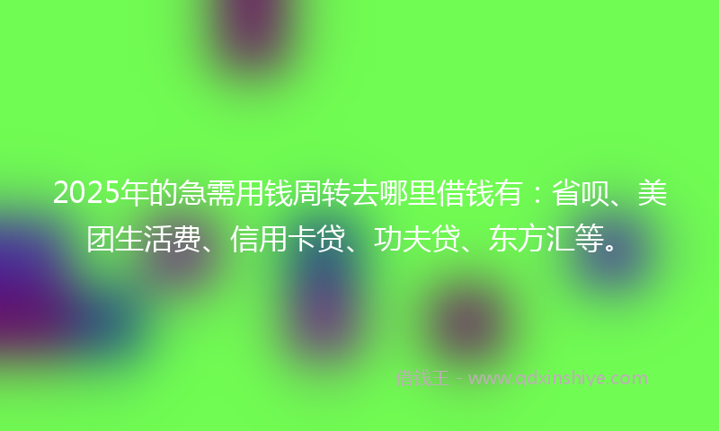 2025年的急需用钱周转去哪里借钱有：省呗、美团生活费、信用卡贷、功夫贷、东方汇等。