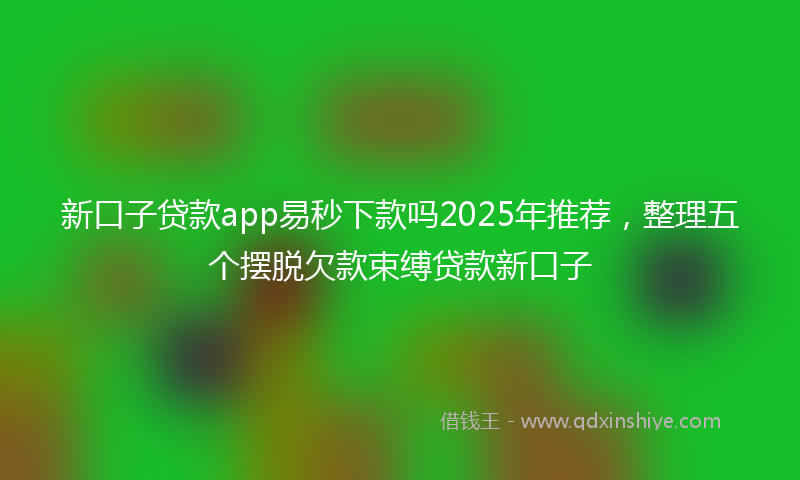 新口子贷款app易秒下款吗2025年推荐，整理五个摆脱欠款束缚贷款新口子