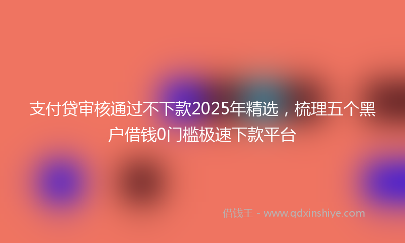 支付贷审核通过不下款2025年精选，梳理五个黑户借钱0门槛极速下款平台