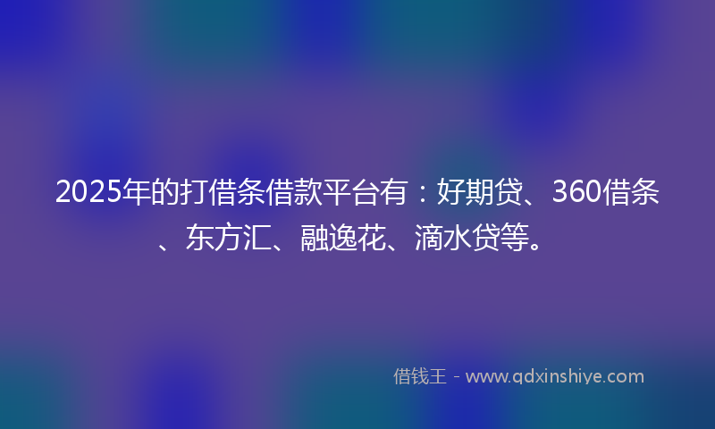 2025年的打借条借款平台有：好期贷、360借条、东方汇、融逸花、滴水贷等。