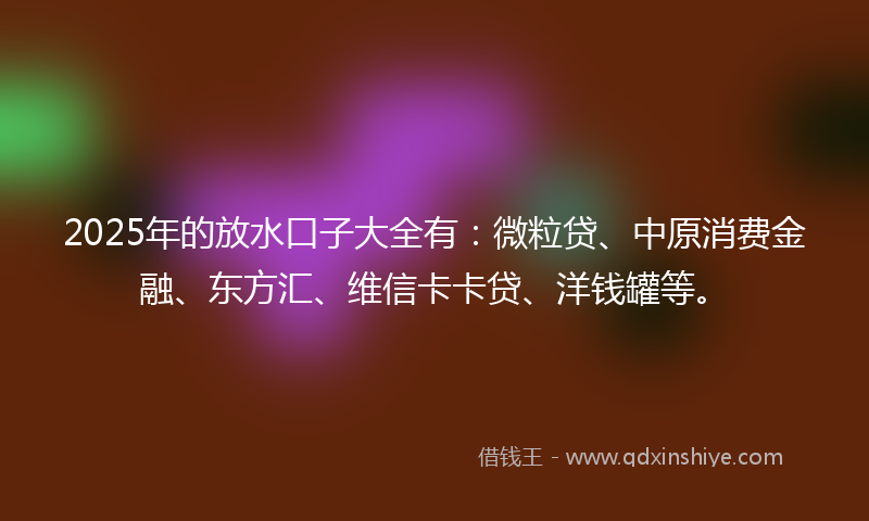 2025年的放水口子大全有：微粒贷、中原消费金融、东方汇、维信卡卡贷、洋钱罐等。