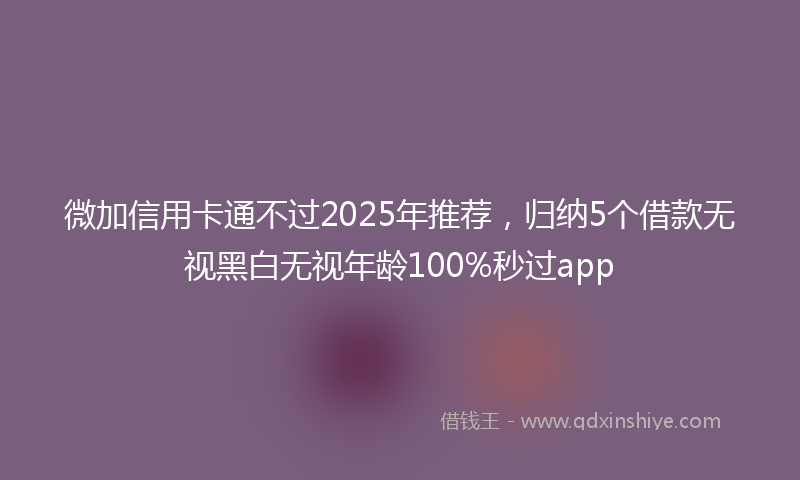 微加信用卡通不过2025年推荐，归纳5个借款无视黑白无视年龄100%秒过app