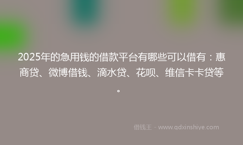 2025年的急用钱的借款平台有哪些可以借有：惠商贷、微博借钱、滴水贷、花呗、维信卡卡贷等。