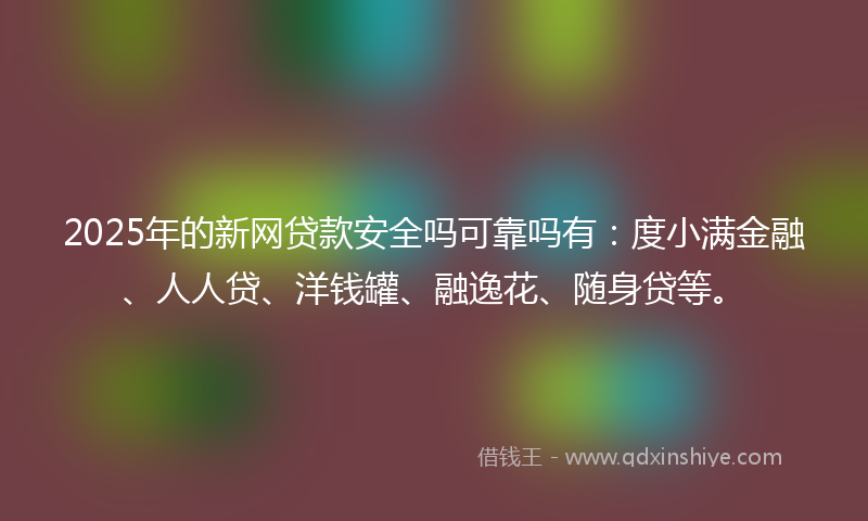 2025年的新网贷款安全吗可靠吗有：度小满金融、人人贷、洋钱罐、融逸花、随身贷等。