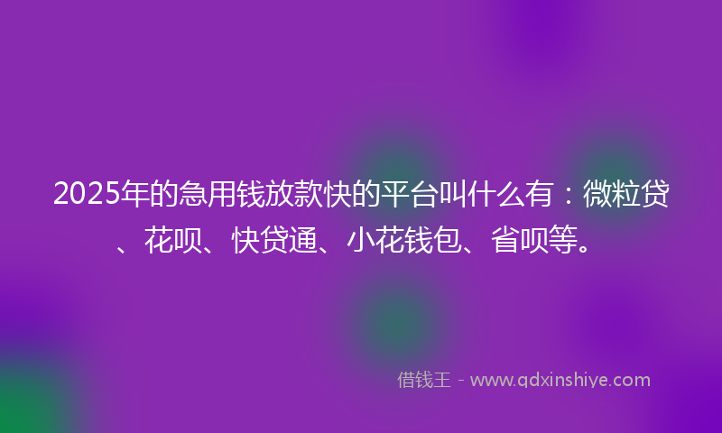 2025年的急用钱放款快的平台叫什么有：微粒贷、花呗、快贷通、小花钱包、省呗等。