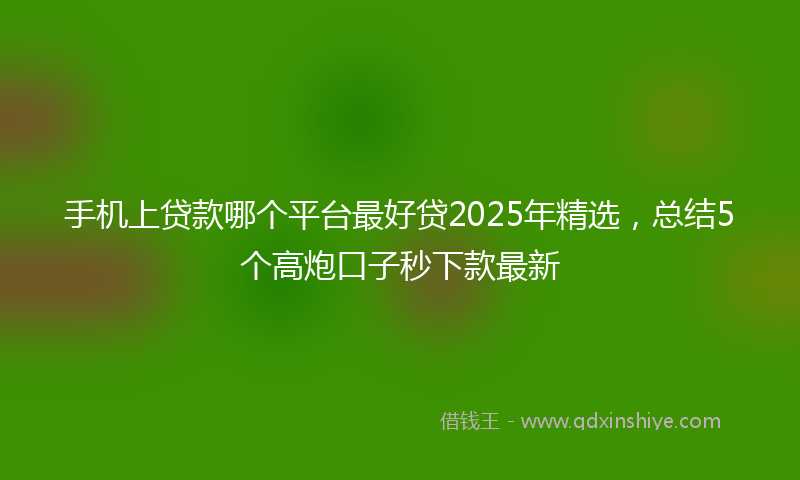 手机上贷款哪个平台最好贷2025年精选，总结5个高炮口子秒下款最新