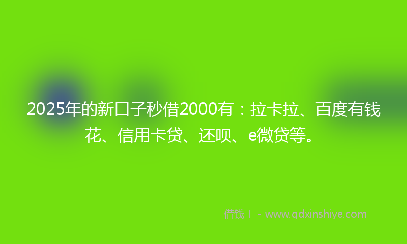2025年的新口子秒借2000有：拉卡拉、百度有钱花、信用卡贷、还呗、e微贷等。