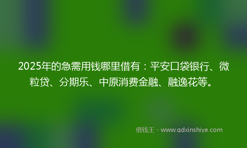 2025年的急需用钱哪里借有：平安口袋银行、微粒贷、分期乐、中原消费金融、融逸花等。