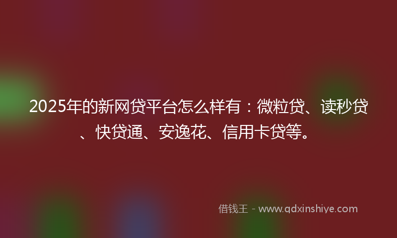 2025年的新网贷平台怎么样有：微粒贷、读秒贷、快贷通、安逸花、信用卡贷等。