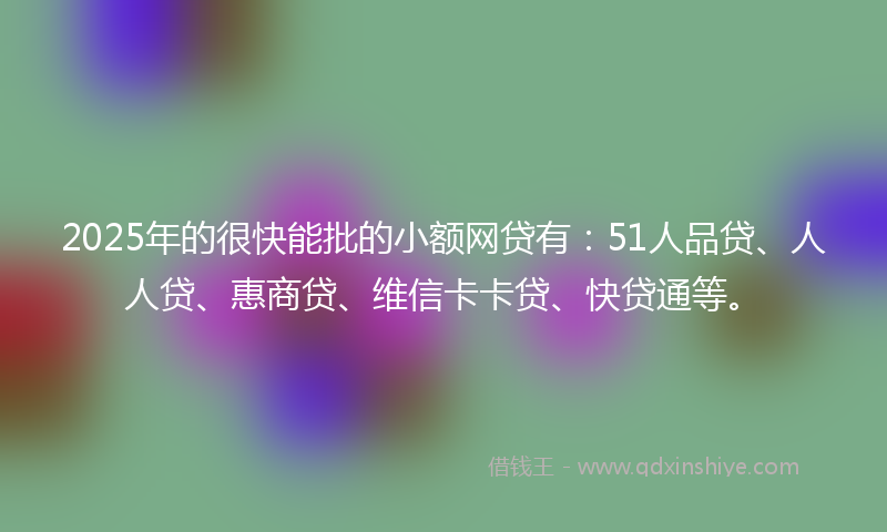 2025年的很快能批的小额网贷有：51人品贷、人人贷、惠商贷、维信卡卡贷、快贷通等。