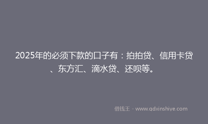 2025年的必须下款的口子有：拍拍贷、信用卡贷、东方汇、滴水贷、还呗等。