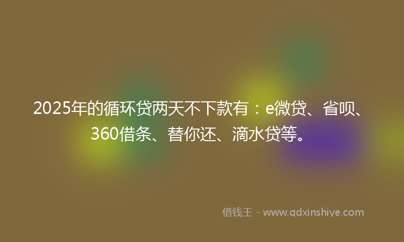 2025年的循环贷两天不下款有：e微贷、省呗、360借条、替你还、滴水贷等。