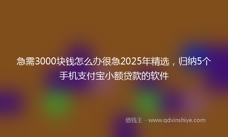急需3000块钱怎么办很急2025年精选，归纳5个手机支付宝小额贷款的软件