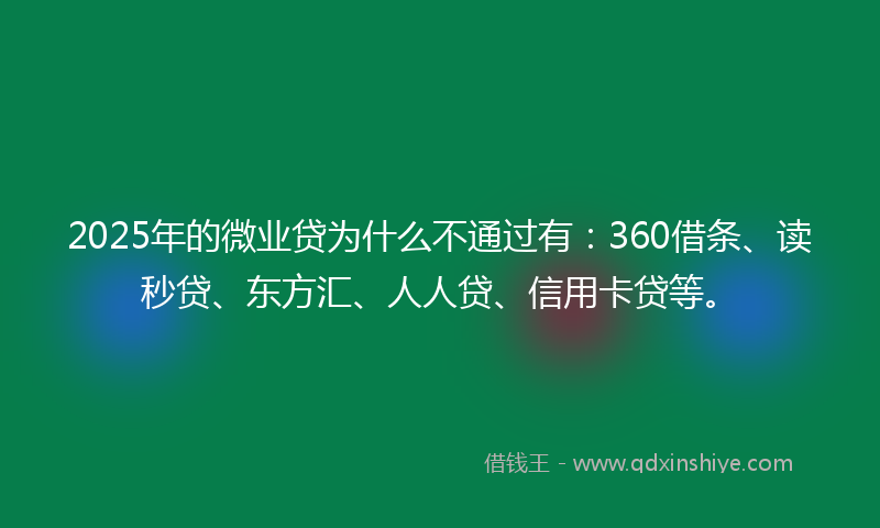 2025年的微业贷为什么不通过有：360借条、读秒贷、东方汇、人人贷、信用卡贷等。
