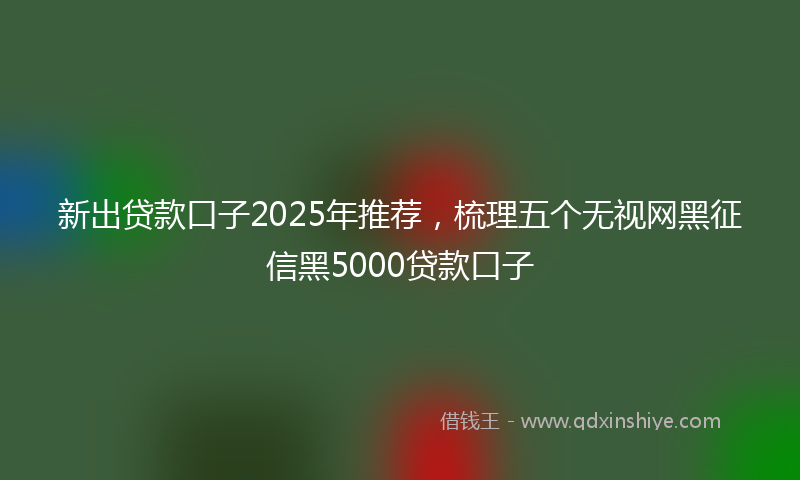 新出贷款口子2025年推荐，梳理五个无视网黑征信黑5000贷款口子