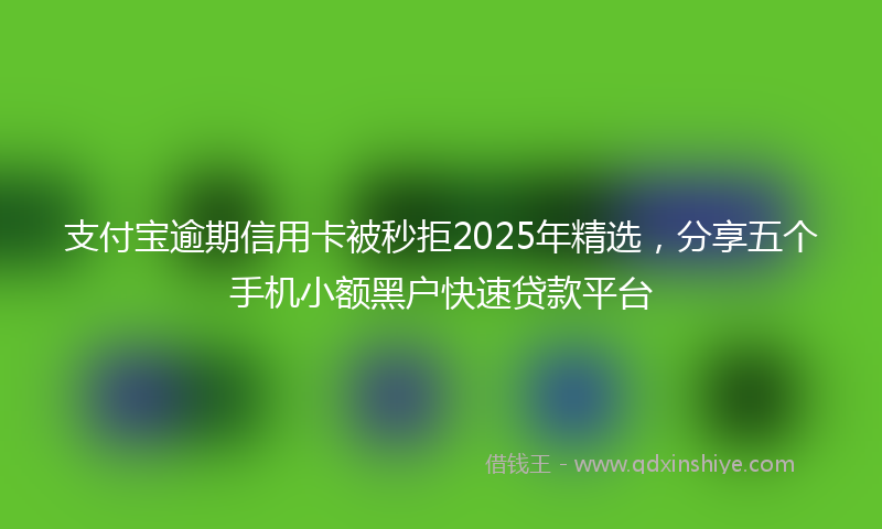 支付宝逾期信用卡被秒拒2025年精选，分享五个手机小额黑户快速贷款平台