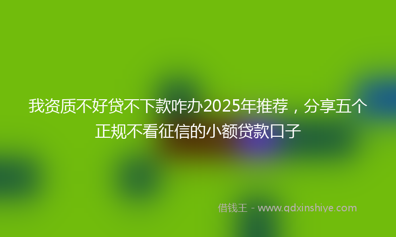 我资质不好贷不下款咋办2025年推荐，分享五个正规不看征信的小额贷款口子